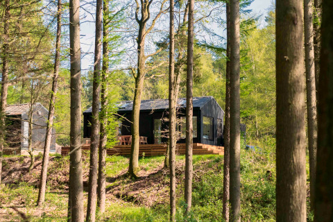 Koya Tiny Cabin te midden van hoge bomen in het bos bij Wilsumer Berge, Duitsland, in zonlicht.