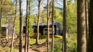 Koya Tiny Cabin au cœur des arbres dans la forêt de Wilsumer Berge, Allemagne, baignée de lumière.