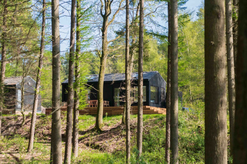 Koya Tiny Cabin inmitten hoher Bäume im Wald von Wilsumer Berge, Deutschland, bei Sonnenlicht.