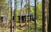 Koya Tiny Cabin ligger blandt høje træer i skoven ved Wilsumer Berge, Tyskland, badet i sollys.