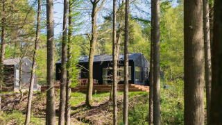 Koya Tiny Cabin te midden van hoge bomen in het bos bij Wilsumer Berge, Duitsland, in zonlicht.
