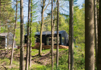 Koya Tiny Cabin immersa tra gli alberi alti della foresta a Wilsumer Berge, Germania, sotto il sole.