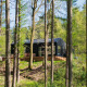 Koya Tiny Cabin ligger blandt høje træer i skoven ved Wilsumer Berge, Tyskland, badet i sollys.