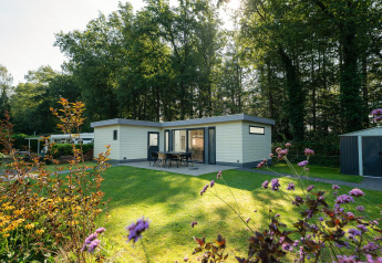 Buitenbeeld van Comfort Chalet met tuintafel, bloemen, groene grasmat en bomen op de achtergrond.