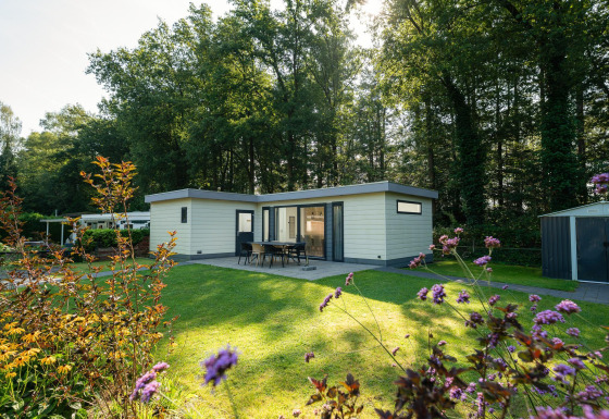 Außenansicht des Comfort Chalet, umgeben von grünem Rasen, Blumen und einem bewaldeten Hintergrund.