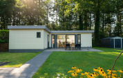 Außenansicht des Comfort Chalet im Veluwepark de Bosgraaf, Niederlande, mit Terrasse und viel Grün.