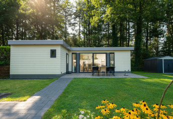 Außenansicht des Comfort Chalet im Veluwepark de Bosgraaf, Niederlande, mit Terrasse und viel Grün.