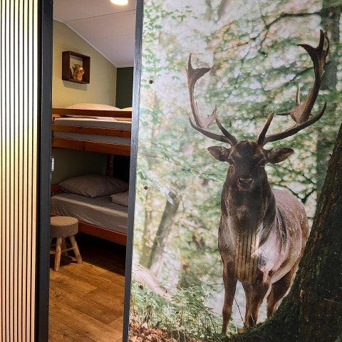 Eingang zu einem gemütlichen Zimmer mit Etagenbetten und großem Hirschbild an der Wand im Veluwe Chalet im Veluwepark.