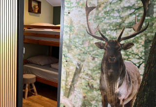 Eingang zu einem gemütlichen Zimmer mit Etagenbetten und großem Hirschbild an der Wand im Veluwe Chalet im Veluwepark.