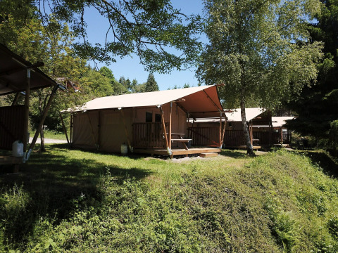 Safari-telt ved Petite Suisse i Belgien, omgivet af træer og grøn natur under en klar blå himmel.