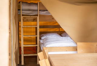 Binnenzicht van een safaritent bij Petite Suisse in België met stapelbedden en houten meubels.