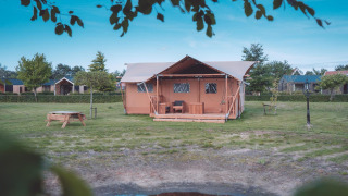 Tienda safari Groupaccommodation 'de Blokhut' en Holiday park Eigen Wijze, rodeada de césped y árboles.