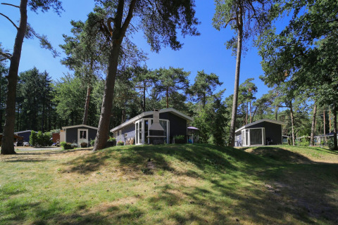Hytter - Bonte Vlucht feriepark, Doorn, Utrecht