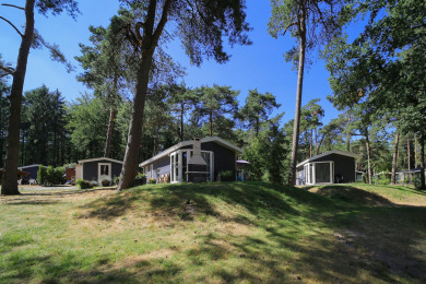 Huisjes - Vakantiepark Bonte Vlucht, Doorn, Utrecht