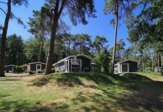 Huisjes - Vakantiepark Bonte Vlucht, Doorn, Utrecht