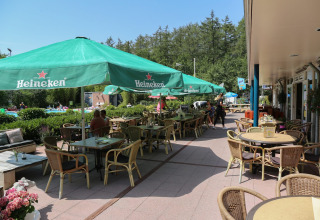 Horeca Vakantiepark Bonte Vlucht, Doorn, Utrecht