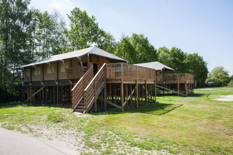Safari-Lodges - Ferienpark Sallandshoeve - Nieuw Heeten, Overijssel, Niederlande
