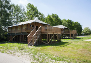 Safari lodges - Parque de vacaciones Sallandshoeve - Nieuw Heeten, Overijssel, Países Bajos