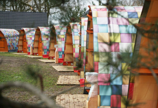 Pod colorati - Parco vacanze Sallandshoeve - Nieuw Heeten, Overijssel, Paesi Bassi
