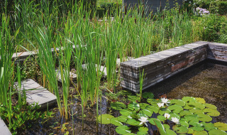 Appeltern, Flevoland, Países Bajos