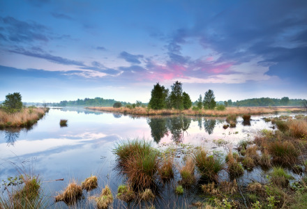 Humedal tranquilo cerca de Nieuw-Weerdinge, Drenthe, Países Bajos, con agua, vegetación y cielo azul.