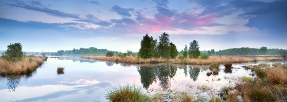 Vredig moerasgebied bij Nieuw-Weerdinge, Drenthe, Nederland, met rustig water, riet en een blauwe lucht.