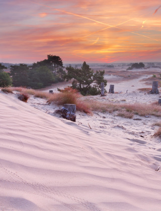 Veluwe - Vodatent - Recreatiepark de Wrange - Doetinchem - Gelderland - Países Bajos