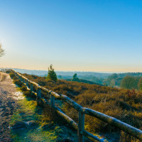 Zonnig pad met houten hekwerk door natuurlijke heuvels in een vakantiepark met glamping.