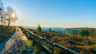 Zonnig pad met houten hekwerk door natuurlijke heuvels in een vakantiepark met glamping.