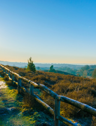 Zonnig pad met houten hekwerk door natuurlijke heuvels in een vakantiepark met glamping.