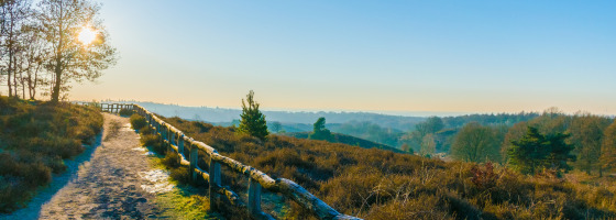 Chemin ensoleillé, rambarde en bois, nature vallonnée dans un parc de vacances proposant du glamping.