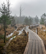 Ruta a pie por Dwingeloo, Drenthe, Países Bajos