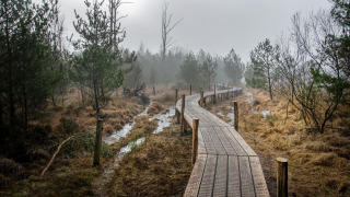 Wandelroute Dwingeloo, Drenthe, Nederland
