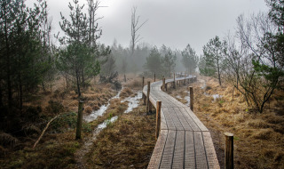 Ruta a pie por Dwingeloo, Drenthe, Países Bajos