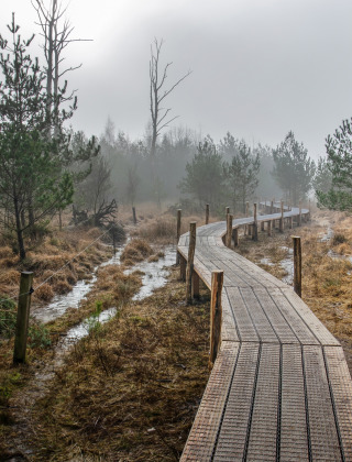 Ruta a pie por Dwingeloo, Drenthe, Países Bajos
