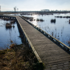 Parque Nacional Dwingelderveld, Dwingeloo, Drenthe, Países Bajos