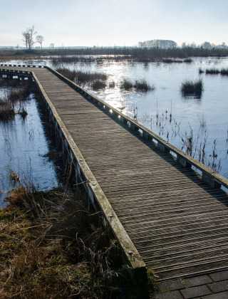 Parque Nacional Dwingelderveld, Dwingeloo, Drenthe, Países Bajos