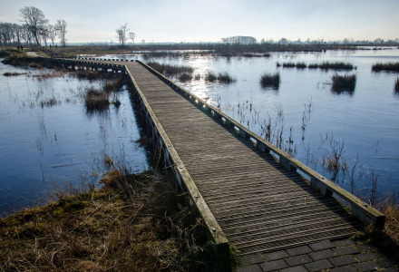 Parque Nacional Dwingelderveld, Dwingeloo, Drenthe, Países Bajos