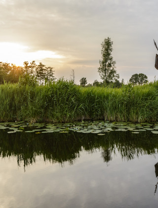 Nationalparken Weerribben-Wieden, Flevoland, Holland