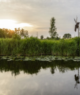 Parc national de Weerribben-Wieden, Flevoland, Pays-Bas