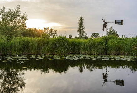 Nationaal Park de Weerribben-Wieden, Flevoland, Nederland