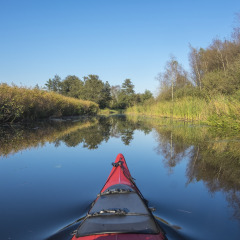 Kajakken  Nationaal Park de Weerribben-Wieden, Flevoland, Nederland