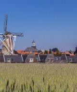 Foto de un parque vacacional con glamping, campo de cereal al frente, casas y molino de viento al fondo.