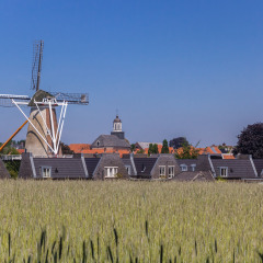 Foto de un parque vacacional con glamping, campo de cereal al frente, casas y molino de viento al fondo.