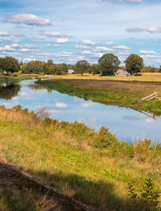 Paisaje de río en parque vacacional con glamping, prados verdes, árboles y cielo azul despejado.