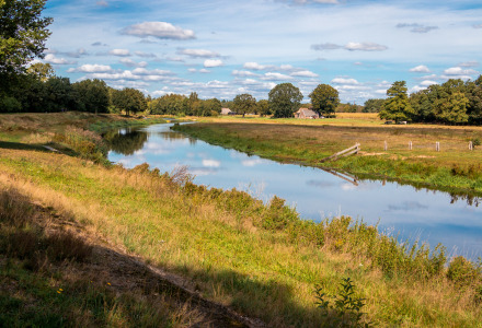 Paisaje de río en parque vacacional con glamping, prados verdes, árboles y cielo azul despejado.