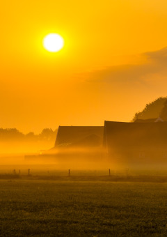 Amanecer sobre un parque vacacional con alojamientos glamping, campos tranquilos y neblina matinal.