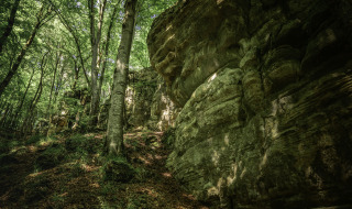 Müllerthal - Vodatent - Camping Vallée de L_Our - Untereisenbach - Vianden - Luxembourg