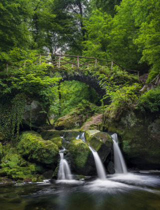 Steinbrücke und kleiner Wasserfall in einem grünen Wald bei Walsdorf, Luxemburg, umgeben von Moos.