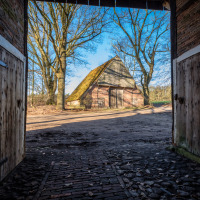 Vista a través de una puerta de granero abierta hacia una construcción tradicional en un parque de glamping.